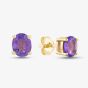 9ct Yellow Gold Oval Cut Amethyst Stud Earrings OJS0006E-AM 9KY