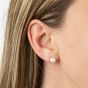 9ct Yellow Gold 7mm Freshwater Pearl Round Stud Earrings GE2373W