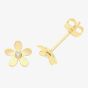 9ct Yellow Gold Cubic Zirconia Flower Stud Earrings ES1690