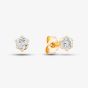 9ct Yellow Gold Cubic Zirconia Round Stud Earrings SE303