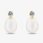 9ct Yellow Gold Freshwater Pearl Cubic Zirconia Drop Earrings EOZ70083FW/CZ
