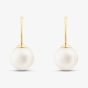 9ct Yellow Gold Freshwater Pearl Fixed Hook Earrings EOZ70073YG
