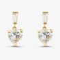 9ct Yellow Gold Cubic Zirconia Heart Drop Earrings 1.58.4789