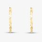 9ct Yellow Gold 22.5mm Twisted Hoop Earrings 1.51.2259