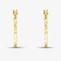 9ct Yellow Gold Diamond Cut Oval Creole Earrings 1.51.3136