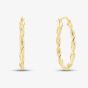 9ct Yellow Gold Oval Twisted Hoop Earrings AR050Y