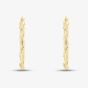 9ct Yellow Gold Oval Twisted Hoop Earrings AR050Y