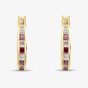 9ct Yellow Gold Red & White Cubic Zirconia 14mm Hoop Creole Earrings 1.58.7109