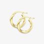9ct Yellow Gold Twist Hoop Earrings 120525147557