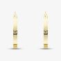 9ct Yellow Gold Flat Patterned Hoop Earrings E-RTSS-21515-9Y