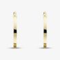 9ct Yellow Gold Flat Hoop Earrings E-RTPS-21520-9Y