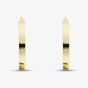 9ct Yellow Gold 3mm Flat Hoop Earrings E-RTPS-31520-9Y