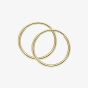 9ct Yellow Gold Hoop Earrings GE2457