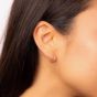 9ct Yellow Gold Hoop Earrings GE2457