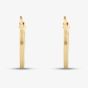 9ct Yellow Gold Sleeper Hoop Earrings 1.51.1879
