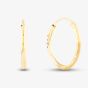 9ct Yellow Gold Sleeper Hoop Earrings 1.53.9859