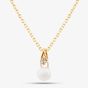 Yellow Gold Tone Plated Sterling Silver Freshwater Pearl Cubic Zirconia Pendant AP16176Z-WFM/G