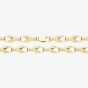 Silver Gold Plated 22 Inch Patterned Tulip Chain S1091Y-22
