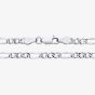 Sterling Silver 22 Inch Diamond Cut Figaro Chain S1057-22