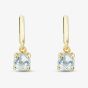 Gold Tone Blue Topaz Dropper Earrings E6488T