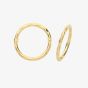 9ct Yellow Gold 10mm Hinged Hoop Earrings ER1169