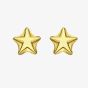 LUXE Silver Gold Plated Star Stud Earrings 8.55.5639