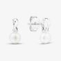Sterling Silver Freshwater Pear Twist Stud Earrings AE25539WFM/R