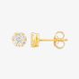 Starbright Gold Small Cubic Zirconia Floral Stud Earrings E4103(3A) GP