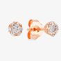 Starbright Rose Small Cubic Zirconia Floral Stud Earrings E4103(3A) RGP