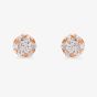 Starbright Rose Small Cubic Zirconia Floral Stud Earrings E4103(3A) RGP