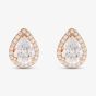 Starbright Rose Pear-Cut Cubic Zirconia Halo Stud Earrings THB-01E (3A) RGP