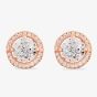 Starbright Rose Round Cubic Zirconia Halo Stud Earrings THB-02E (3A) RGP