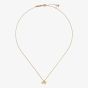 Ted Baker Blaire Gold Tone Mini Bow Pendant Necklace TBJ4175-02-03