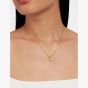 Ted Baker SOLTELL Solitaire Sparkle Gold Tone & Crystal Pendant TBJ3695-02-02