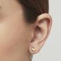 Ted Baker HARLY Gold Tone Tiny Heart Stud Earrings TBJ872-02-03
