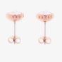 Ted Baker SINAA Rose Gold Tone Crystal Stud Earrings TBJ1084-24-02