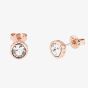 Ted Baker SINAA Rose Gold Tone Crystal Stud Earrings TBJ1084-24-02