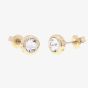 Ted Baker SINAA Gold Tone Crystal Stud Earrings TBJ1084-02-02