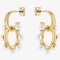 Ted Baker PETUNAA Gold Tone Glass Pearl Bubble Drop Hoop Earrings TBJ3283-02-28