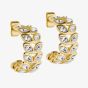 Ted Baker Senelda Serpentine Crystal Gold Tone Wide Hoop Earrings TBJ3452-02-02