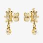 Ted Baker Celtis Crystal Star Gold Tone Dropper Earrings TBJ3495-02-02