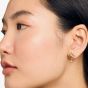 Ted Baker Celtis Crystal Star Gold Tone Dropper Earrings TBJ3495-02-02