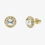 Ted Baker Soletia Gold Tone Plated Crystal Halo Stud Earrings TBJ3698-02-02