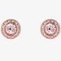Ted Baker Soletia Rose Gold Tone Plated Crystal Halo Stud Earrings TBJ3698-24-193