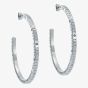 Ted Baker LOA Silver Tone Plated Logo Half Hoop Earrings TBJ3818-01-03