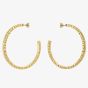 Ted Baker LOA Gold Tone Plated Logo Half Hoop Earrings TBJ3818-02-03