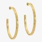 Ted Baker LOA Gold Tone Plated Logo Half Hoop Earrings TBJ3818-02-03