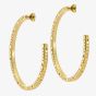 Ted Baker LOA Gold Tone Plated Logo Half Hoop Earrings TBJ3818-02-03