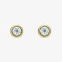 Ted Baker Sinaa Gold Tone Mini Crystal Stud Earrings TBJ3124-02-02