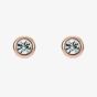 Ted Baker Sinaa Rose Gold Tone Mini Crystal Stud Earrings TBJ3124-24-02